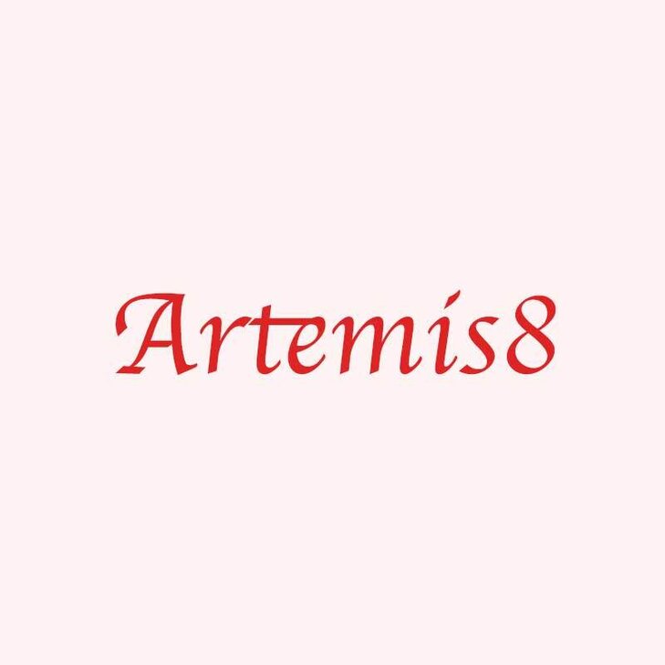 Artemis 8, Neueröffnung am 17.03.2025 in Karlsruhe